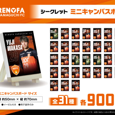 ミニキャンバスボード(シークレット)新登場！